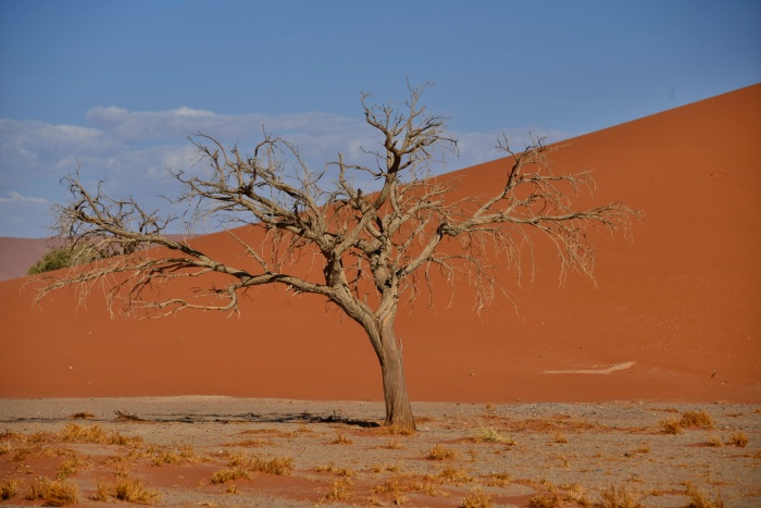 Duna 45 (Namib Naukluft Park)