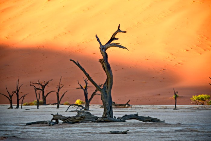 DEADVLEI_NIK2753a