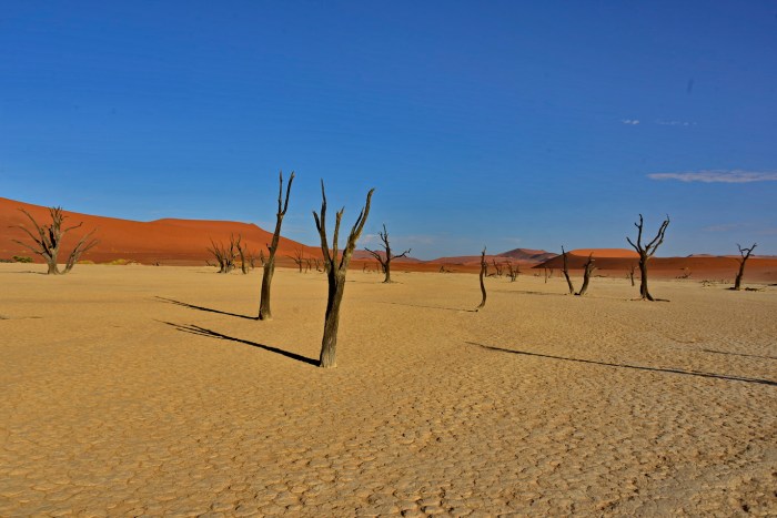 DEADVLEI_NIK3111