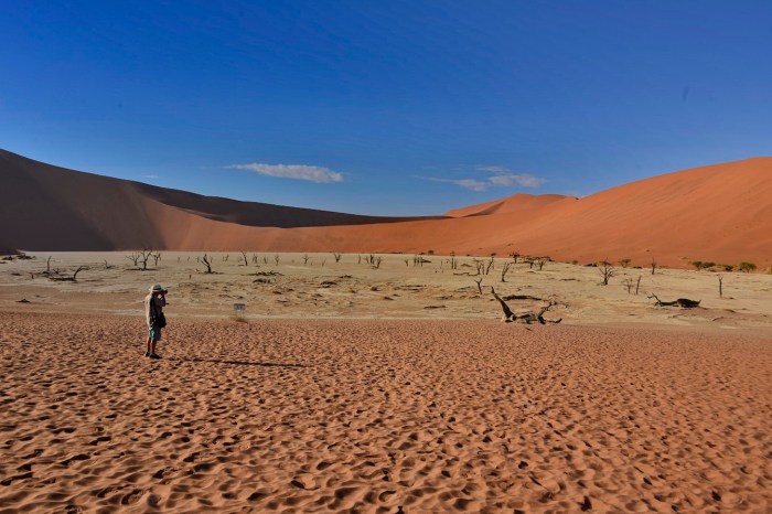 DEADVLEI_NIK3175