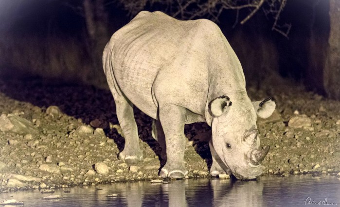 24106297478_13dea7e95b_h