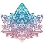 51oKDIZzoKL._SL500_AC_SS350_