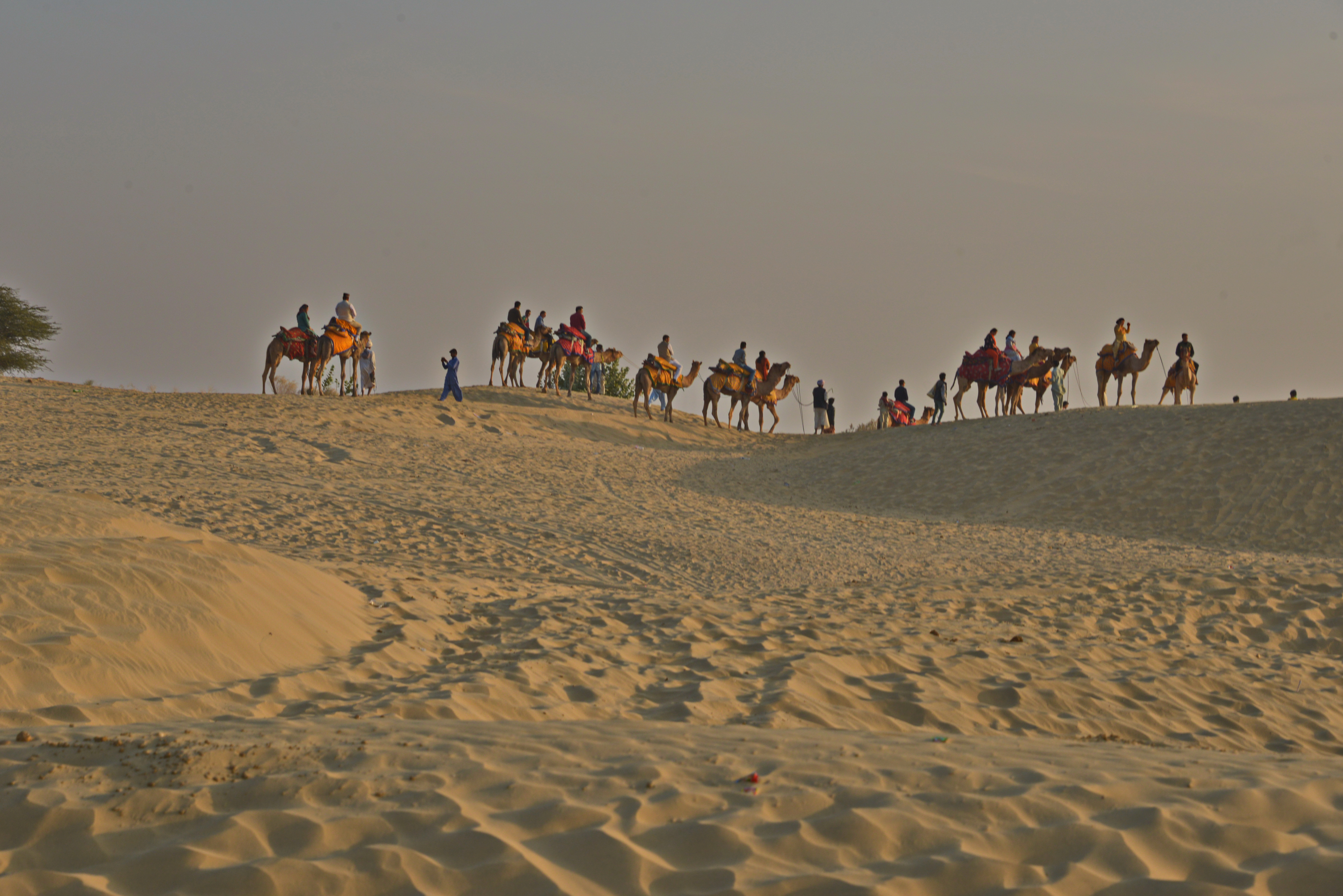 A Jaisalmer NIK_1517